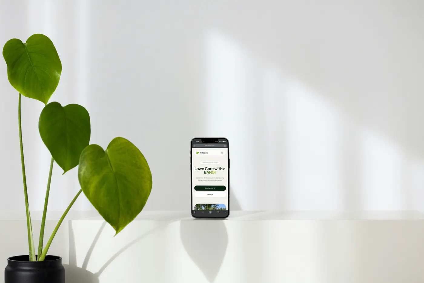 TNT Lawn Care services on a phone